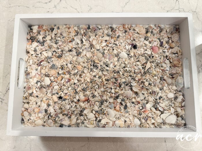 A white rectangular thrift shop tray filled with assorted seashells and shell fragments, displayed on a light-colored marble surface.