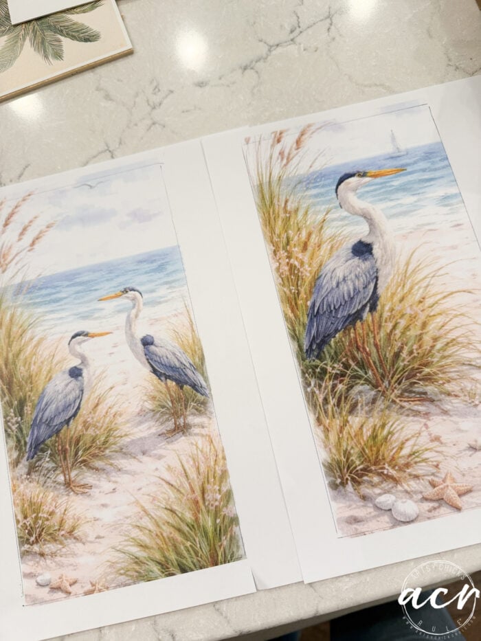 Two watercolor illustrations of herons standing among beach grass near the ocean, with seashells and sand visible. This print set is beautifully laid out on a light-colored marble surface.