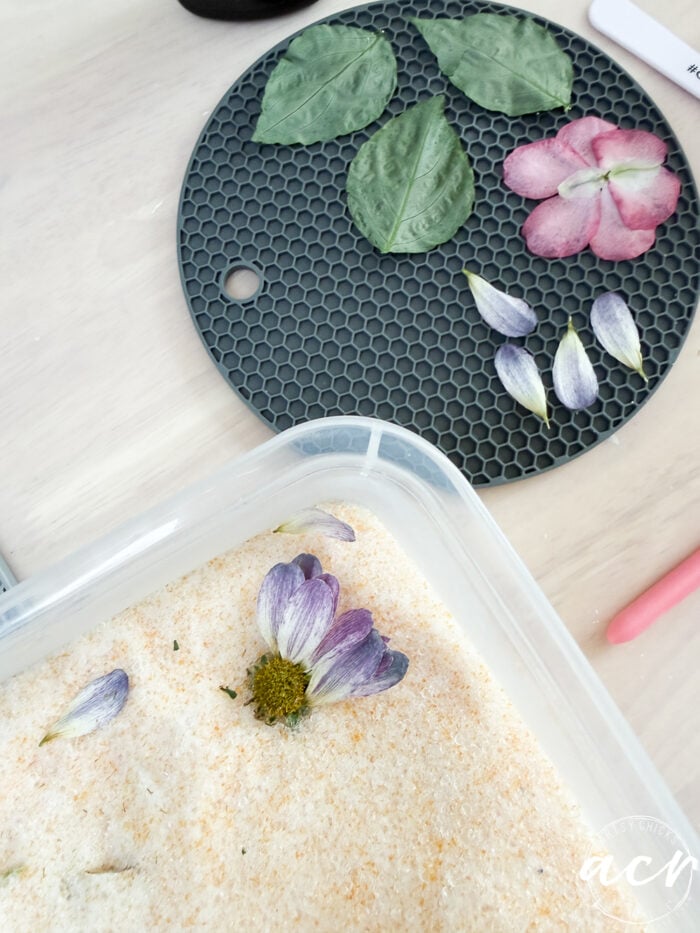 Pressed flower petals and leaves are arranged on a dark round mat, perfect for creating DIY resin jewelry or unique flower petal resin earrings. Nearby, a plastic container holds a purple flower in sand, with craft materials and a pen also visible.