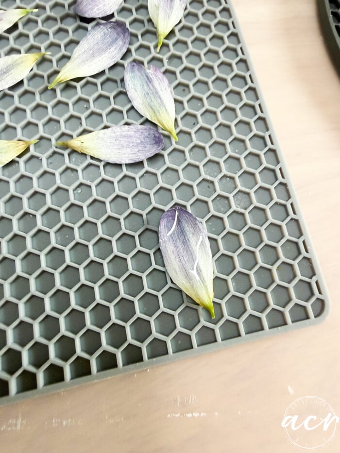 Purple flower petals with yellow-green tips are laid out on a gray hexagonal drying rack, perfect for crafting flower petal resin earrings. The rack rests on light wood, with a white circular logo visible in the bottom right corner.