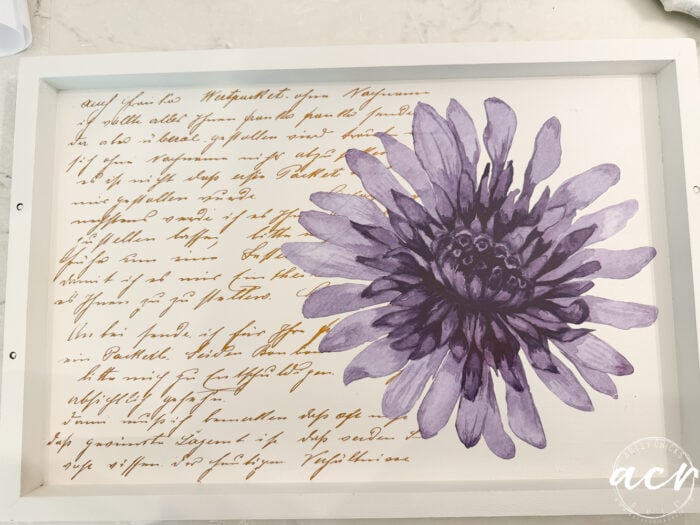 A decorative tray with a large purple flower illustration overlaid on a background of handwritten script in gold ink, framed in white—perfect for adding a touch of elegance to your next petite table or furniture makeover.