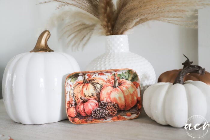 White ceramic pumpkins, a decorative tray with autumn pumpkins and pinecones, and a textured white vase with pampas grass on a light-colored surface create a cozy fall display reminiscent of handcrafted pieces made from various clay brands. For those seeking to personalize their autumn décor, consider using Air Dry Clay for DIY accents that complement this welcoming arrangement.