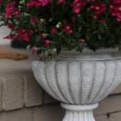 DIY Faux Concrete Planters A potted plant with deep pink flowers sits in a textured, light gray faux concrete pedestal planter.