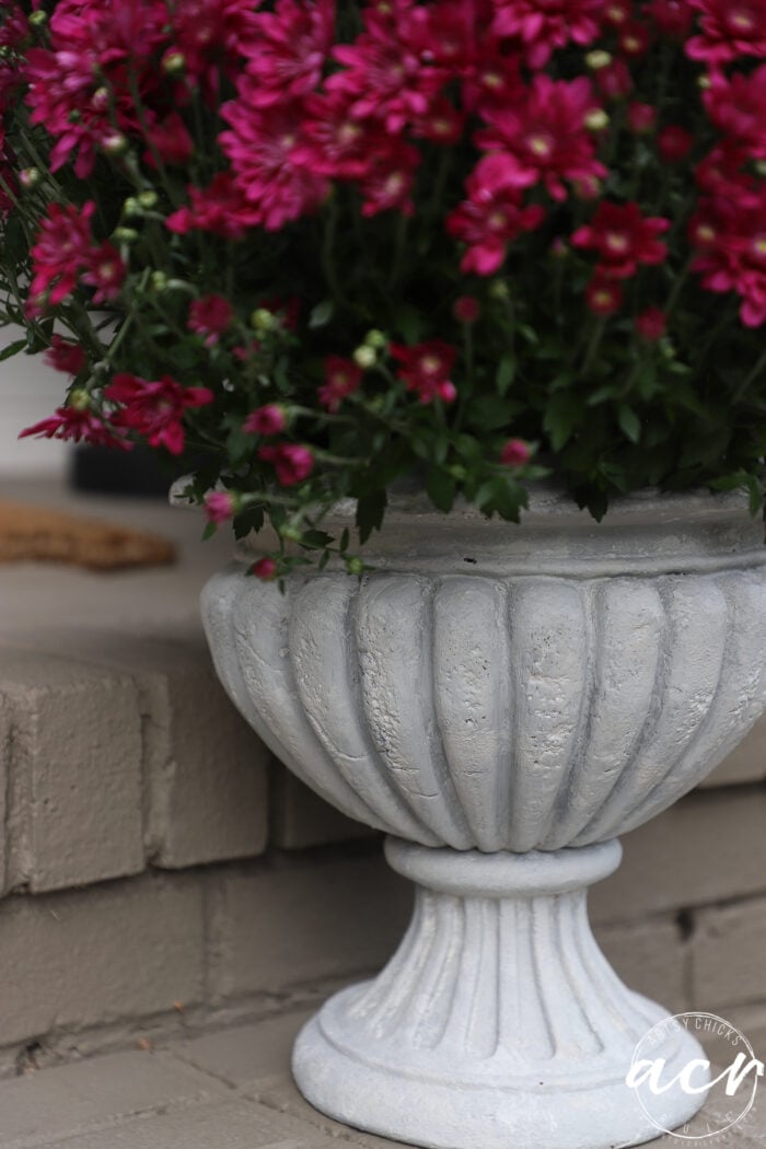 A potted plant with deep pink flowers sits in a textured, light gray faux concrete pedestal planter.