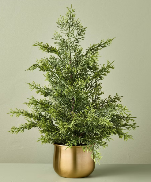 A miniature evergreen tree in a metallic gold pot, perfect for your Christmas favorites.